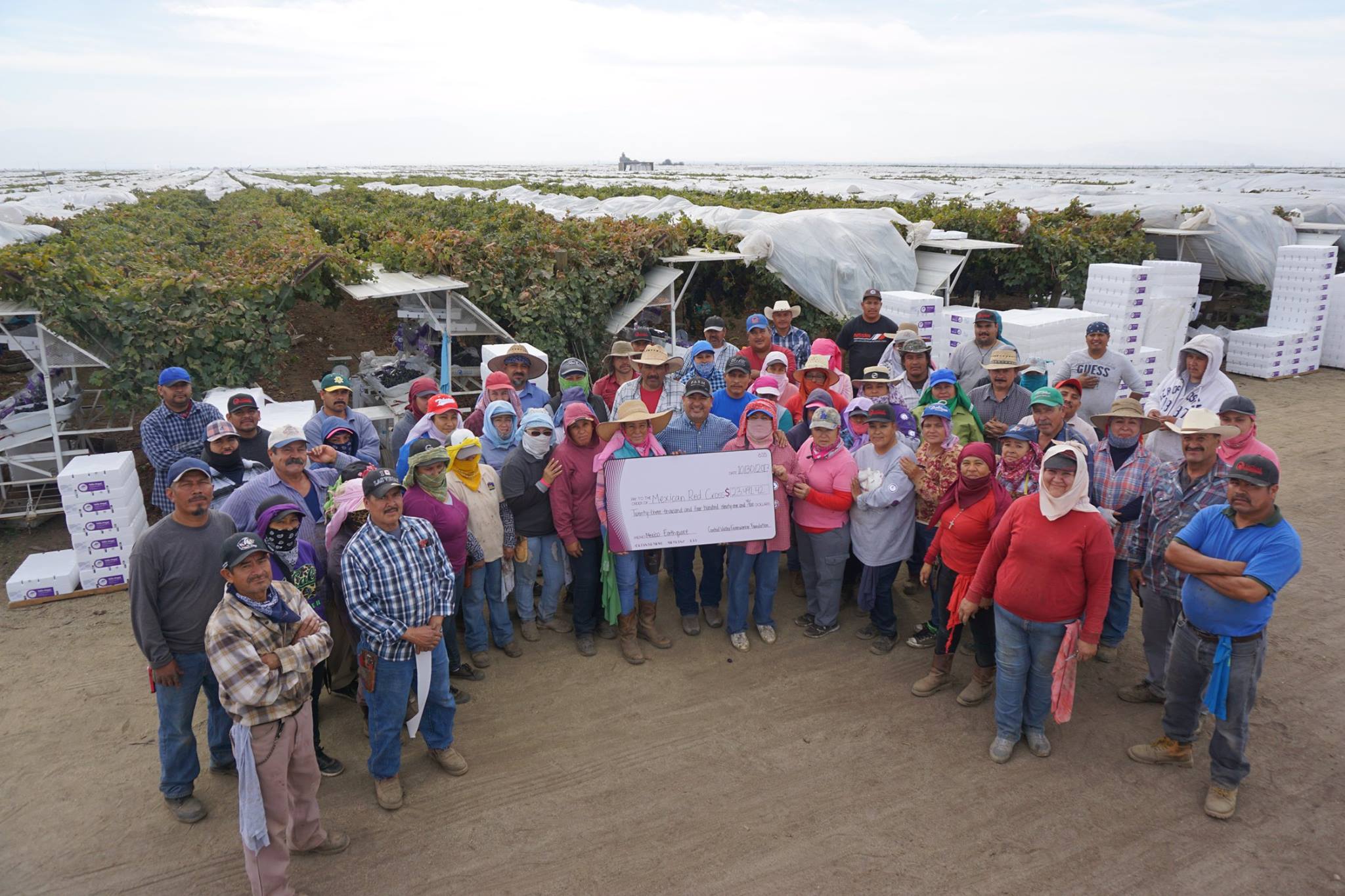 California Farmworker Foundation California Farmworker Foundation