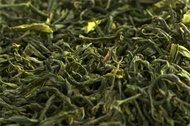 Mao Jian from DAVIDsTEA