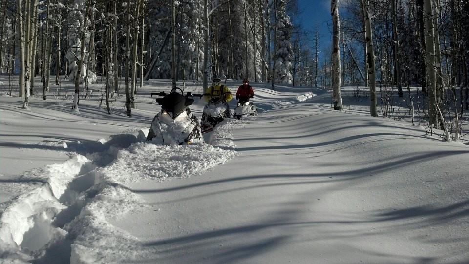 GUIDED SNOWMOBILE TOURS LEADVILLE CO photo 1