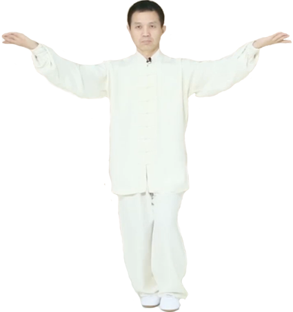 正宗程式八卦掌教学| 武林在线