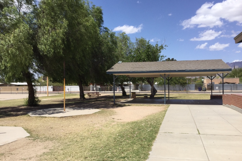 The Field and Playground