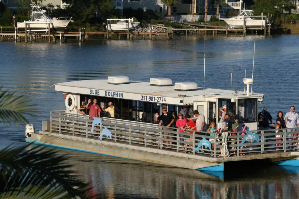 Dolphin Cruise photo 1