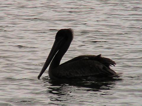 Jet Boat Tour photo 1