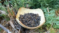 1995 OG from Liquid Proust Teas