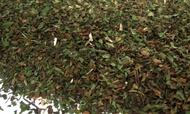 Peppermint from Fusion Teas