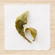 Lishan Winter Sprout from Song Tea & Ceramics