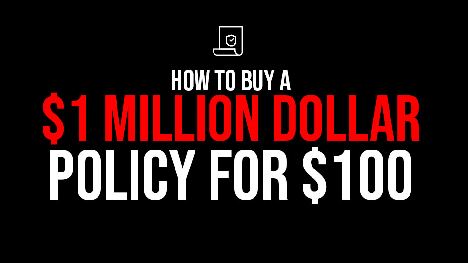 how-to-buy-a-1-million-dollar-life-insurance-policy-for-100-skillh