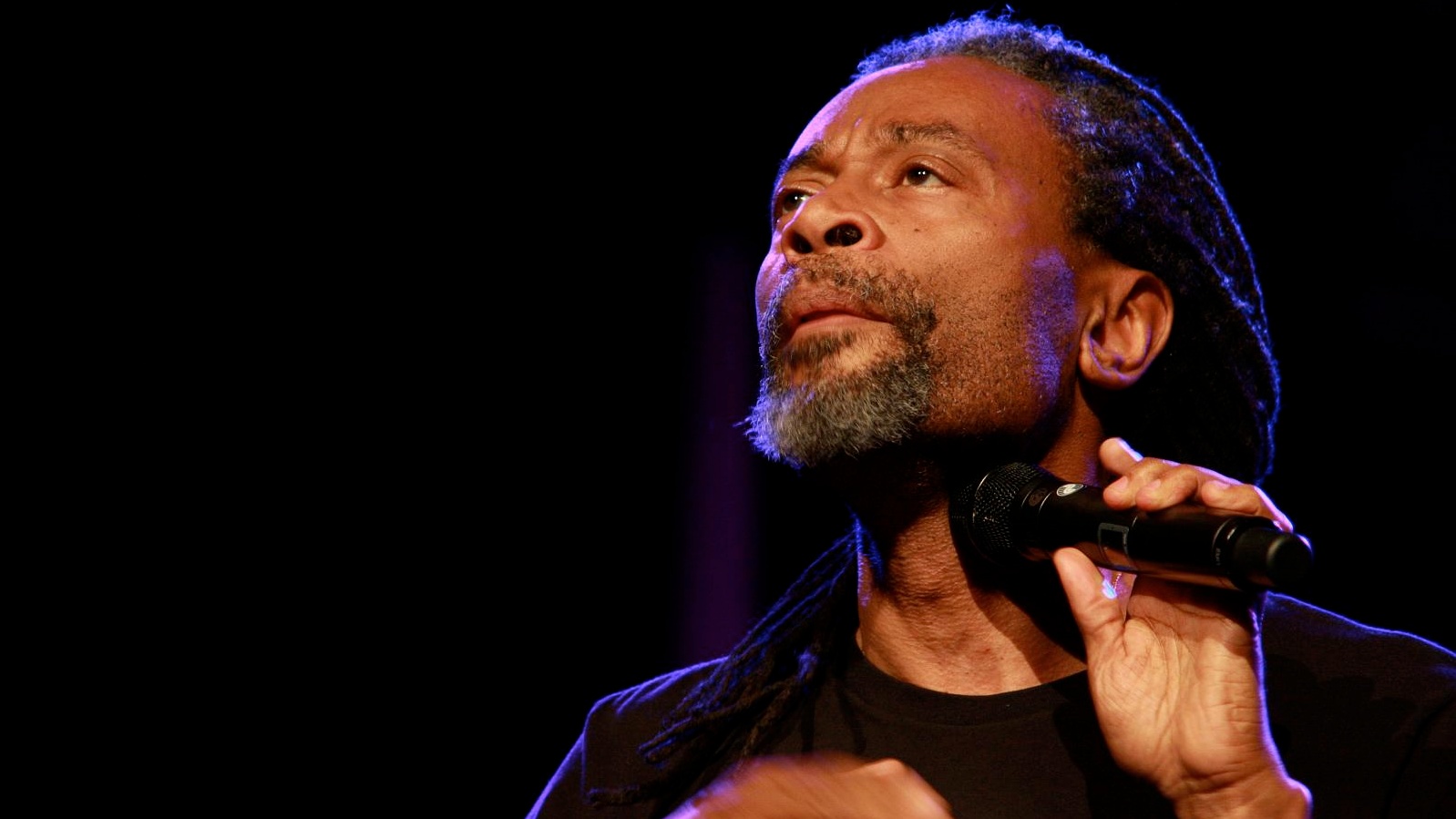 Bobby McFerrin | Artist | Bandwagon | Music media championing and