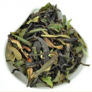 Wild Tree Purple Moonlight White Tea from Jinggu from Yunnan Sourcing