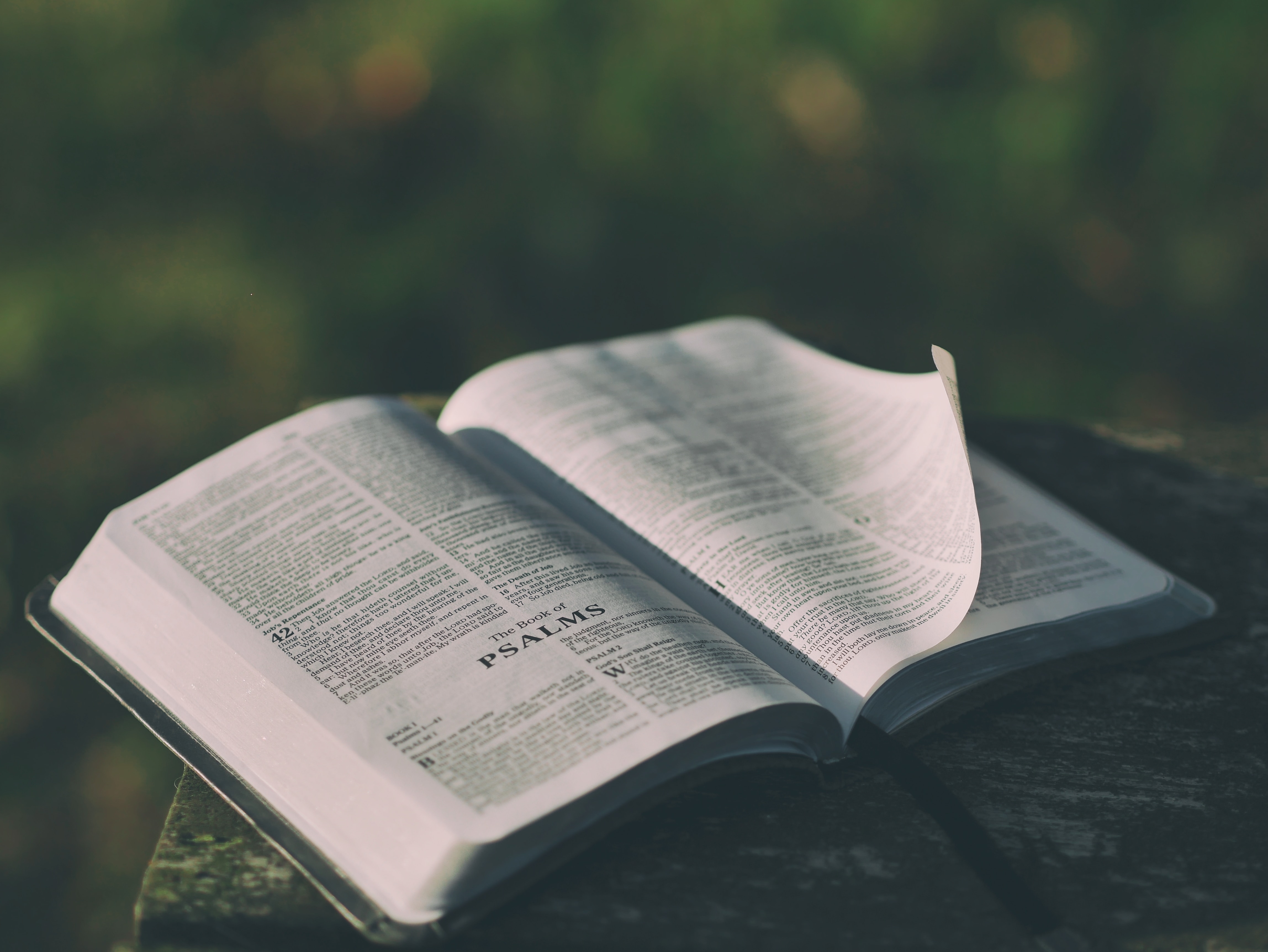 Product image for How Did the Apostle Paul Fund His Ministry?
