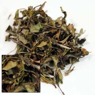 Nepal - Aarubotay "Plum Tree" Gardens White Tea 2nd Flush Organic from Simpson & Vail
