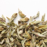 Nan Mei Wild Tree Buds from Camellia Sinensis