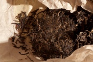 Wild Arbor Lancang Sheng from Verdant Tea