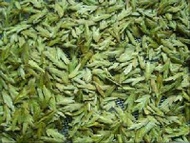Ju Jia Long Jing from Hangzhou Jujia Tea Co. Ltd.