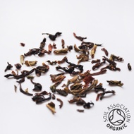 Organic Everyday Arya Darjeeling from Canton Tea Co