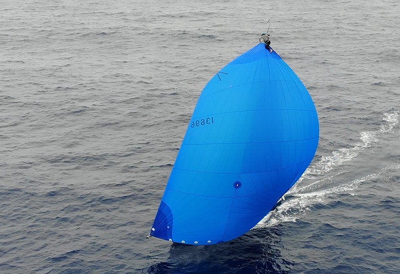 Hamachi Transpac 2019