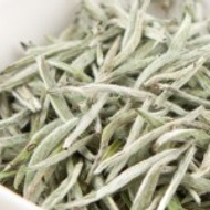 Organic Fuding Silver Needle, 2012 from Red Blossom Tea Company