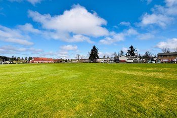 Athletic Field Grass