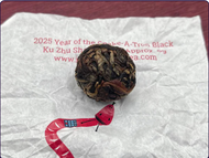 2025 Year of the Snake-a-tron Black from Intergalactic Tea