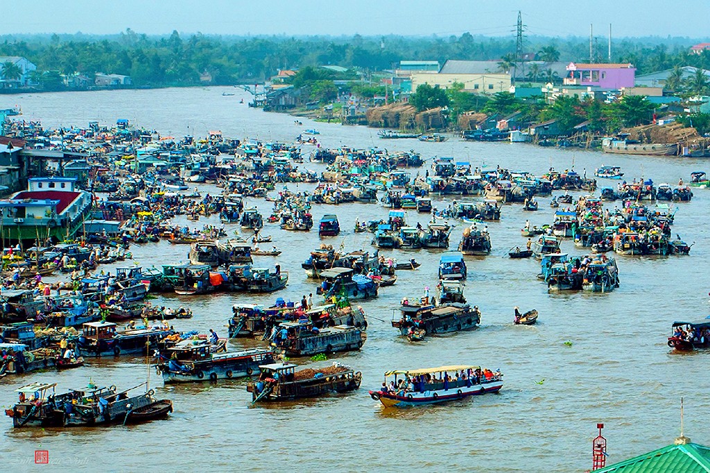 Cai Rang Floating Market Experience