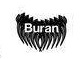 Buran Theatre Company, Inc. logo