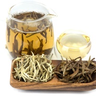 Yunnan Moonlight Buds - White Tea from Tribute Tea Company