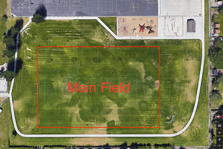 Main Field