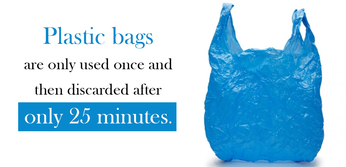 The State of the Plastic Bag Ban: What's Next?