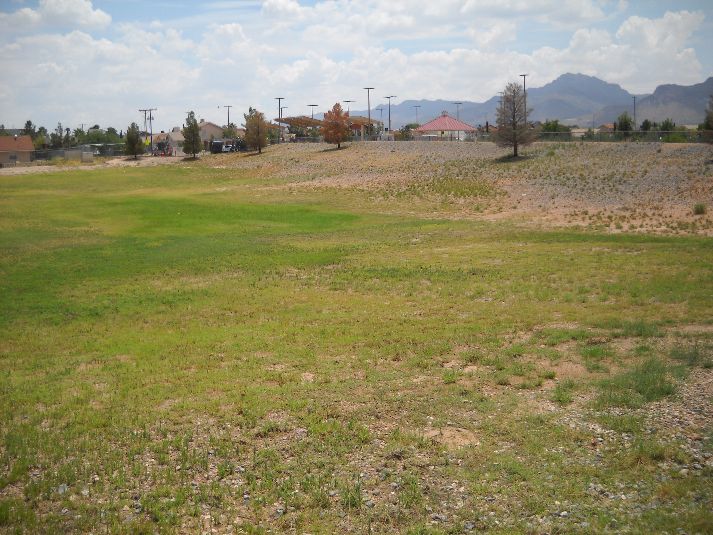 Playfield/Soccer