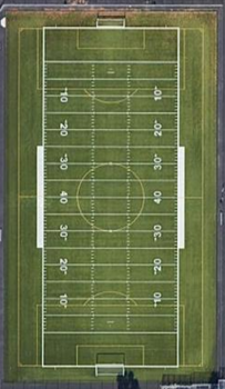 Synthetic Turf - Field
