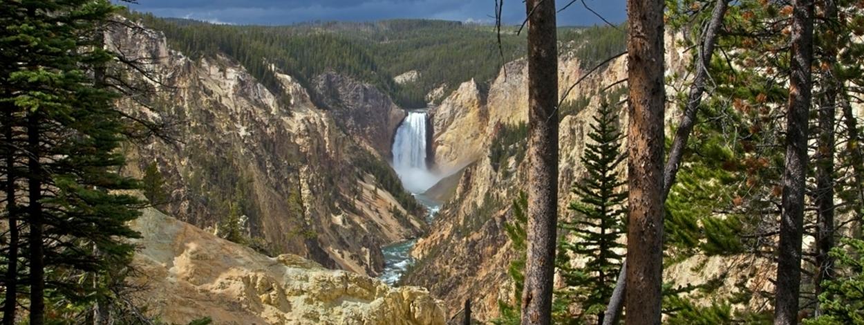 Yellowstone Lower Loop Tour