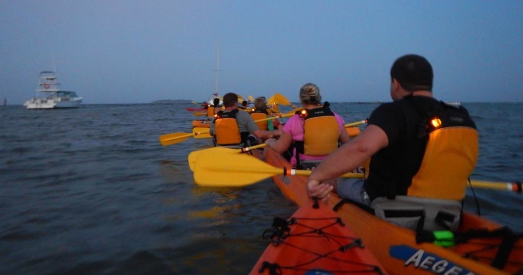 Bioluminescent Bay Kayak Adventure