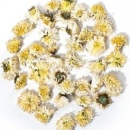 White Chrysanthemum from teasenz