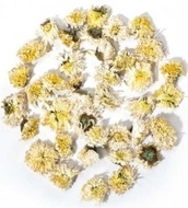 White Chrysanthemum from teasenz