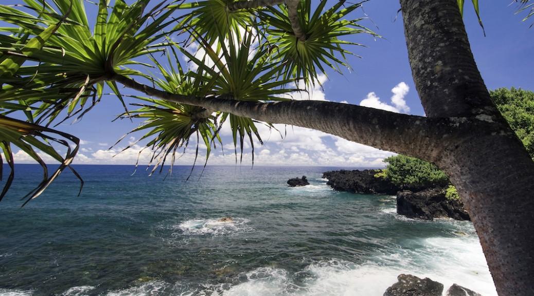 South Kona Tour: A Journey Through History and Natural Beauty photo 1