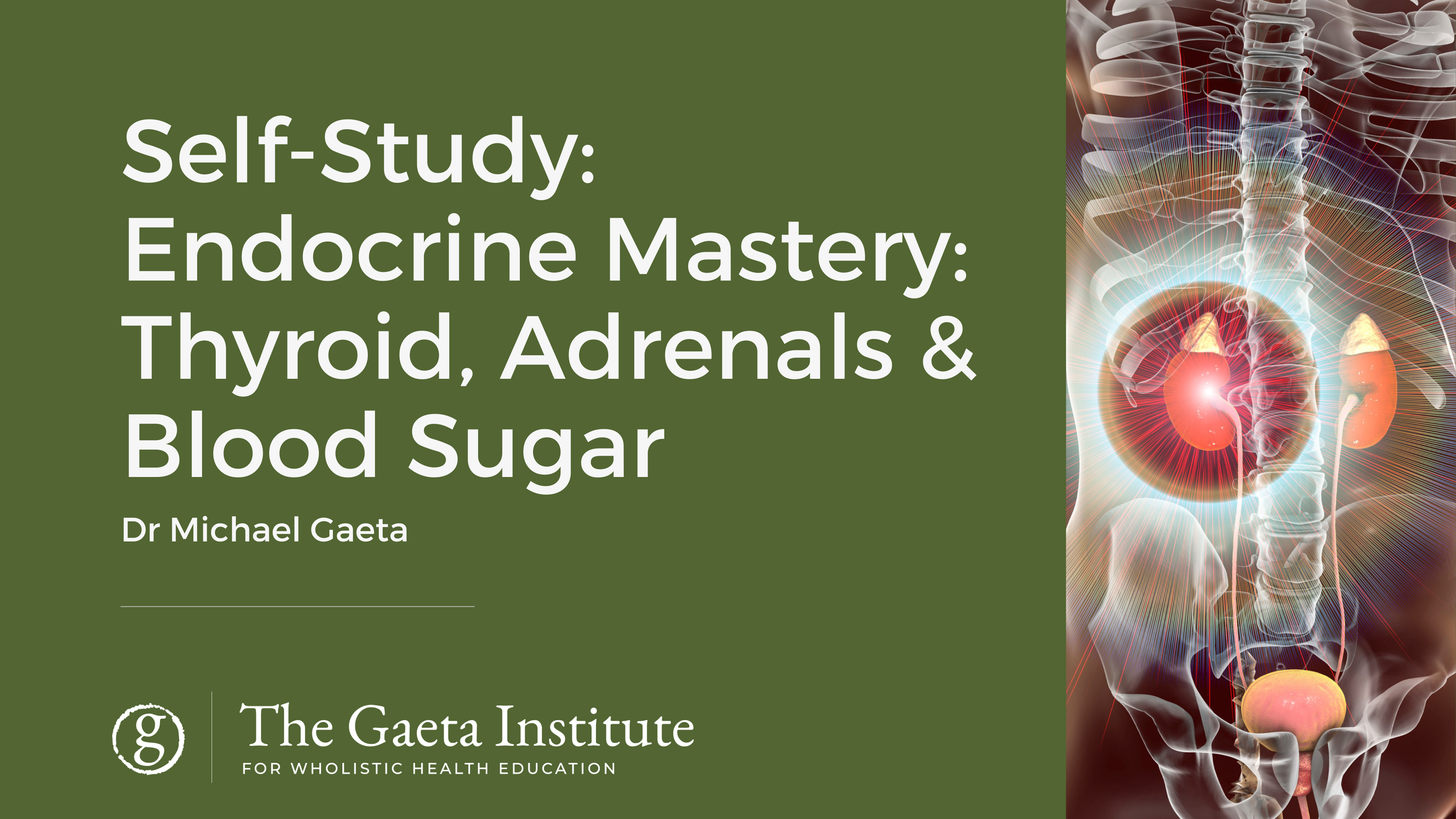 Self-Study: Endocrine Mastery: Thyroid, Adrenals & Blood Sugar