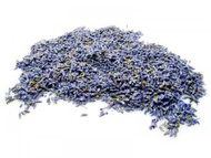 Lavender from ESGREEN