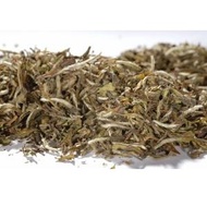 Organic Pai Mu Tan from Tea Desire