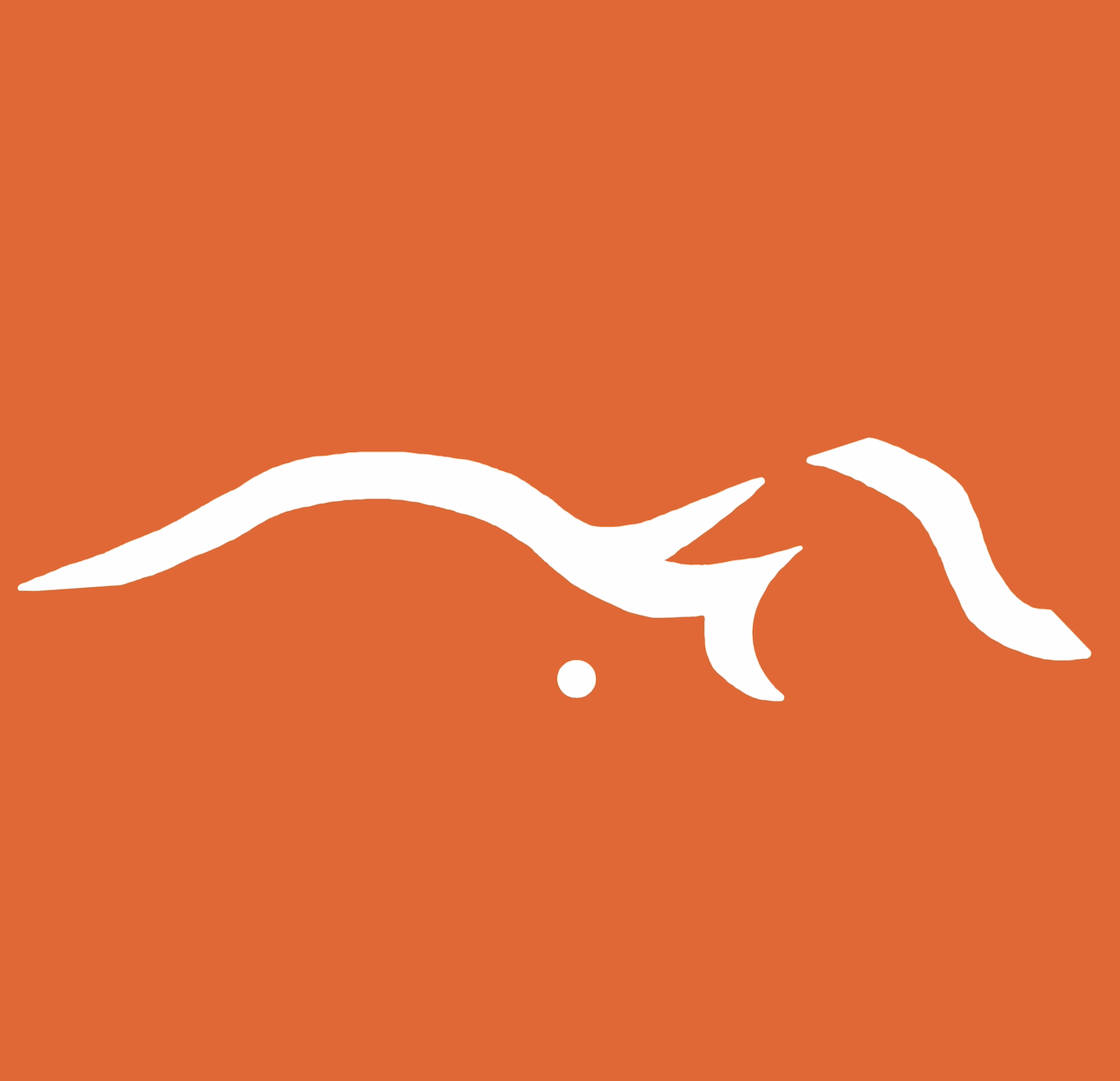 The Cova Project logo