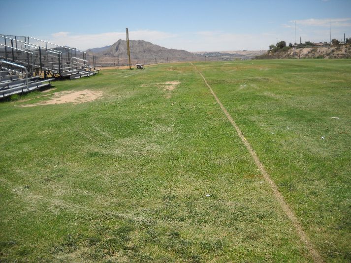 Playfield