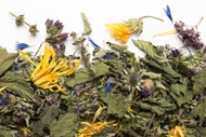Tulsi from Camellia Sinensis