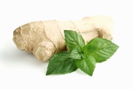 Green Rooibos Ginger Mint from Madametj's Fresh Garden