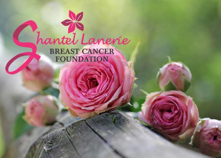 Shantel Lanerie Breast Cancer Foundation logo