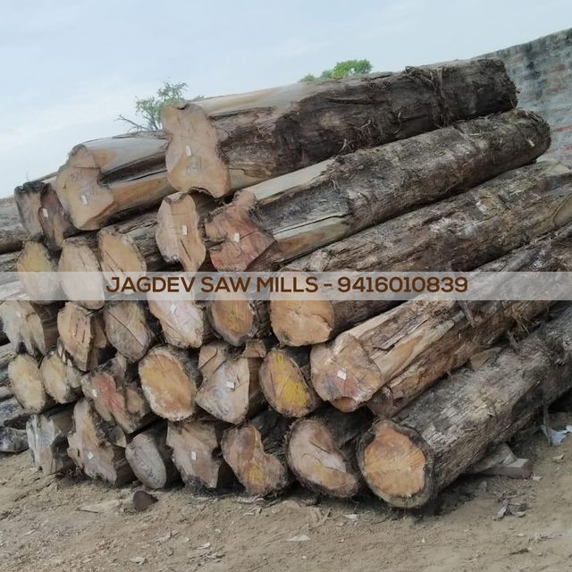 Burma teak discount wood furniture