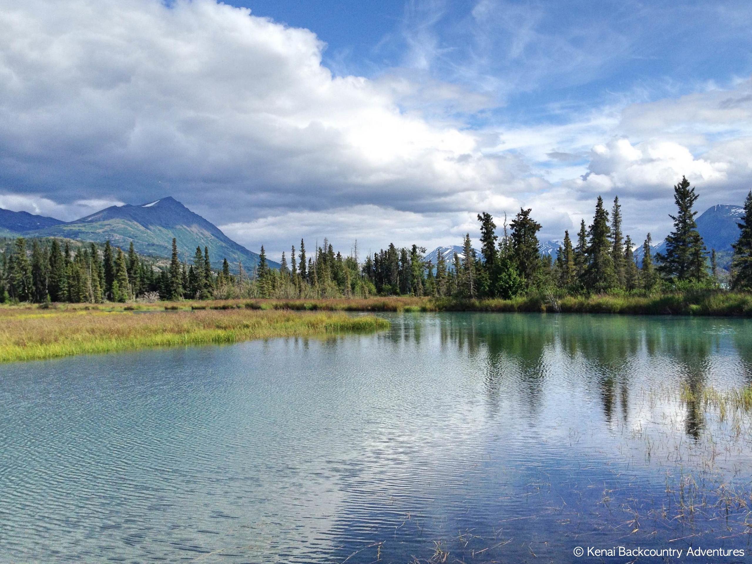 Wilderness Hiking in Kenai National Wildlife Refuge - Soldotna