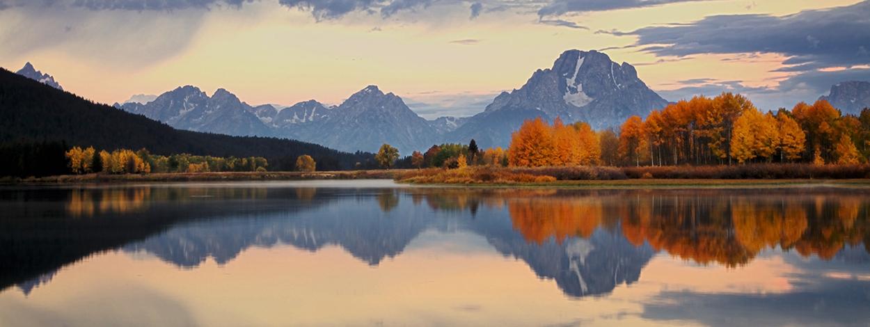Summer & Fall Wildlife Sunrise Safari