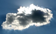 Silver Linings from Adagio Custom Blends