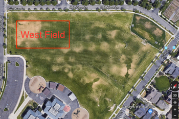 West Field