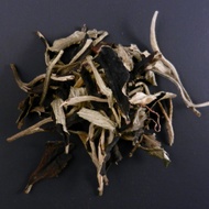 White Pu Erh from Tiberias Tea