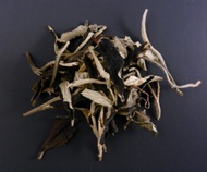 White Pu Erh from Tiberias Tea